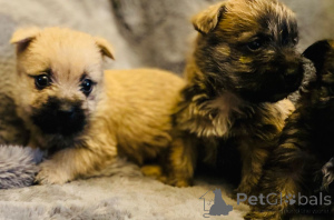 Photo №4. I will sell  in the city of Alken. private announcement - price - negotiated