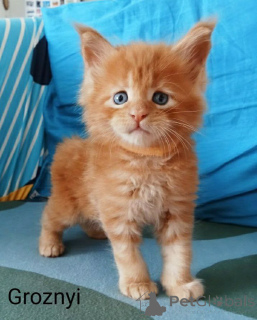 Photo №3. Natalja Galitsina. Finland