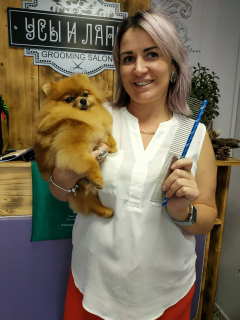 Photo №2. Service of the groomer in Ukraine. Price - 13$. Announcement № 3307