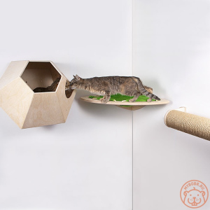 Photo №2. Furniture for dogs and cats in Russian Federation. Price - 112$. Announcement № 5277