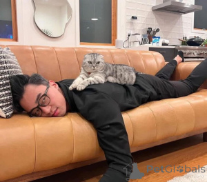 Photo №3. We are so sad to see our newest litter going to their new home soon!! Stay tuned. Germany