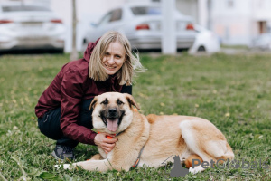 Photo №3. The kindest bear cub Potap is looking for a home!. Russian Federation