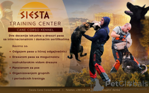 Photo №1. Hotel for animals in the city of Bogatić. Price - negotiated. Announcement № 89403