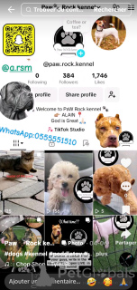 Photo №2. Hotel for animals in United Arab Emirates. Price - negotiated. Announcement № 145660