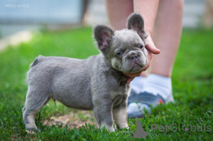 Photo №4. I will sell  in the city of Батуми. private announcement - price - 1100$