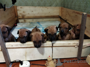 Photo №3. Irena Kuskowska. Poland