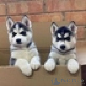 Photo №1.  - for sale in the city of Garmisch-Partenkirchen | 282$ | Announcement № 132942
