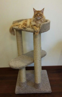 Photo №1. Exclusive cat scratching post in Moscow in the city of Москва. Price - negotiated. Announcement № 6561
