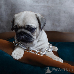 Photo №3. Gorgeous handsome guy!. Ukraine