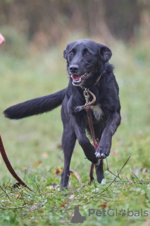 Photo №3. Yakut handsome man Artie is looking for a family.. Russian Federation