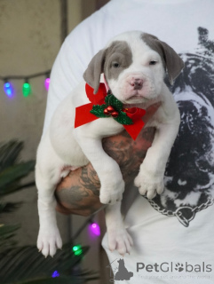 Photo №1.  - for sale in the city of Uppsala | negotiated | Announcement № 160712