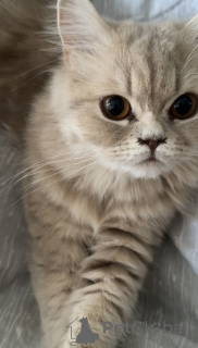 Photo №3. Tbilisi. Georgia