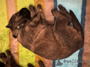 Photo №3. Jakub Fořt. Czech Republic