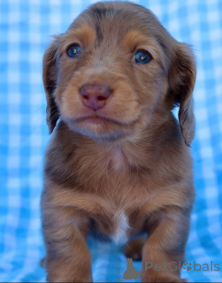 Photo №1.  - for sale in the city of Achenkircch | negotiated | Announcement № 155085