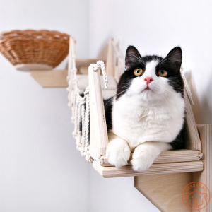 Photo №4. Wall-mounted game complex for cats in Russian Federation. Announcement № 5276