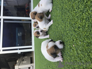 Photo №3. Ashdod. Israel