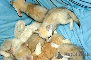 Photo №1.  - for sale in the city of Holstebro | negotiated | Announcement № 158780