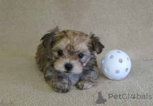 Photo №1.  - for sale in the city of Kazakhstan | negotiated | Announcement № 162853