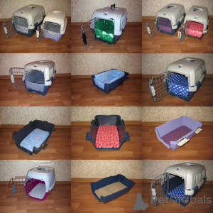 Photo №1. Beds inserts, mattresses for plastic transfers in the city of Saratov. Price - 3$. Announcement № 3275
