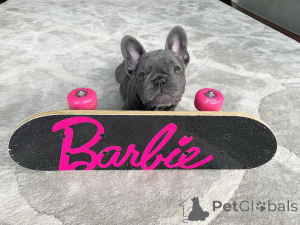 Photo №2 to announcement № 164606 for the sale of  - buy in Canada 