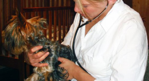 Photo №1. Veterinarian Services in the city of Tallinn. Price - Negotiated. Announcement № 693