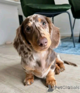 Photo №1.  - for sale in the city of Madrid | negotiated | Announcement № 167012