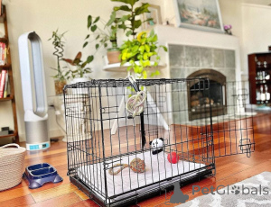 Photo №1.  - for sale in the city of Anderlecht | negotiated | Announcement № 161686