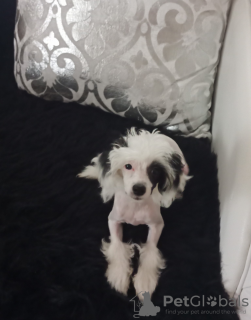 Photo №4. I will sell  in the city of Измир. private announcement - price - negotiated