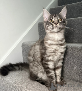 Photo №3. One Girl One Boy Ready To Leave. United States