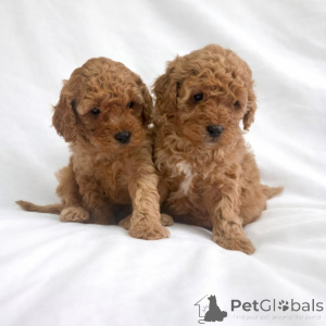 Photo №1.  - for sale in the city of Baierbrunn | negotiated | Announcement № 166373