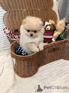 Photo №1.  - for sale in the city of Badgastein | negotiated | Announcement № 161685