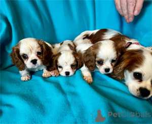 Photo №1.  - for sale in the city of Böbingen | 361$ | Announcement № 154608