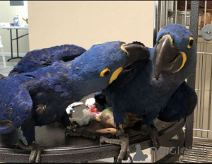 Photo №1.  - for sale in the city of Hamburg | Is free | Announcement № 162679