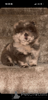 Photo №1.  - for sale in the city of Hydusobos | 350$ | Announcement № 161341