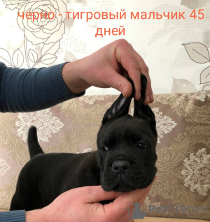 Photo №1.  - for sale in the city of Grodno | 1132$ | Announcement № 43069