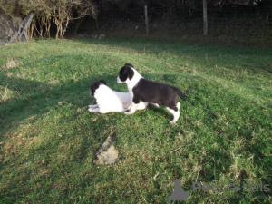 Photo №2 to announcement № 132170 for the sale of  - buy in Switzerland 