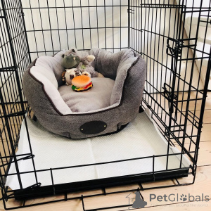 Photo №4. I will sell  in the city of Anderlecht.  - price - negotiated