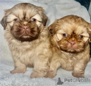 Photo №1.  - for sale in the city of Cölbe | 361$ | Announcement № 154945