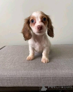 Photo №1.  - for sale in the city of Aarbergen | 600$ | Announcement № 161308