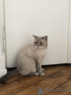 Photo №1.  - for sale in the city of Aalen | 329$ | Announcement № 147298