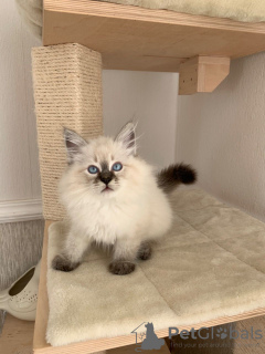 Photo №2 to announcement № 132169 for the sale of  - buy in Switzerland 