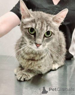 Photo №1.  - for sale in the city of Moscow river | Is free | Announcement № 149171