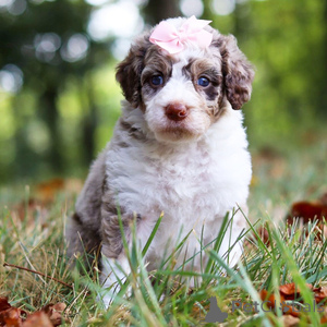 Photo №1.  - for sale in the city of Aalen | 282$ | Announcement № 151358