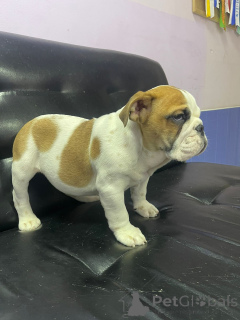 Photo №3. Shalumova Oksana Alexandrovna. Russian Federation