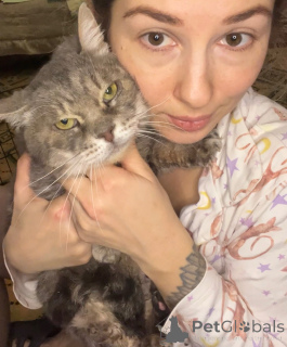 Photo №4. I will sell  in the city of Moscow river. private announcement - price - Is free