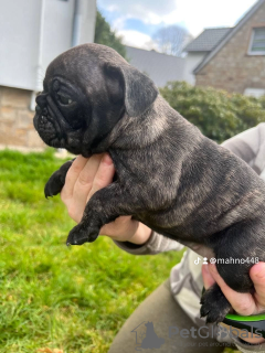 Photo №3. Natalia Tretiak4915167426171. Germany