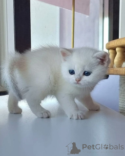 Photo №4. I will sell  in the city of Boulogne-Billancourt.  - price - negotiated