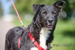 Photo №3. Night is very kind and very its own.. Russian Federation