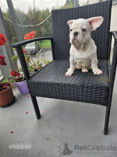 Photo №3. Maxim Susarov. Estonia