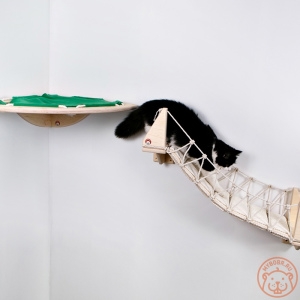 Photo №2. Furniture for dogs and cats in Russian Federation. Price - 76$. Announcement № 5272